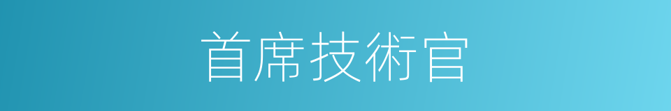 首席技術官的同義詞