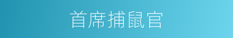 首席捕鼠官的同义词