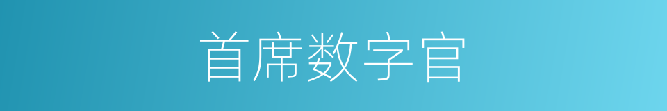 首席数字官的同义词