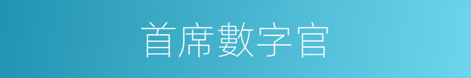 首席數字官的同義詞