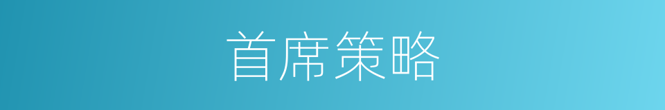首席策略的同义词