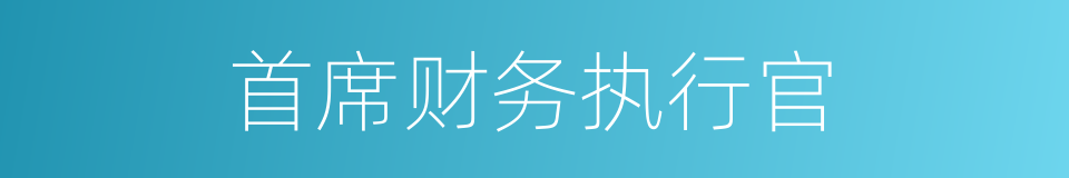 首席财务执行官的同义词