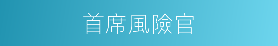 首席風險官的同義詞