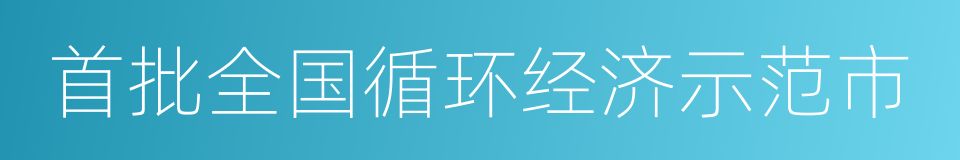 首批全国循环经济示范市的同义词