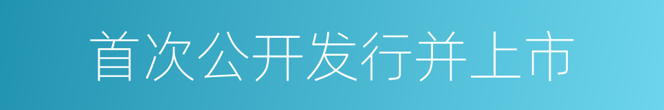 首次公开发行并上市的同义词