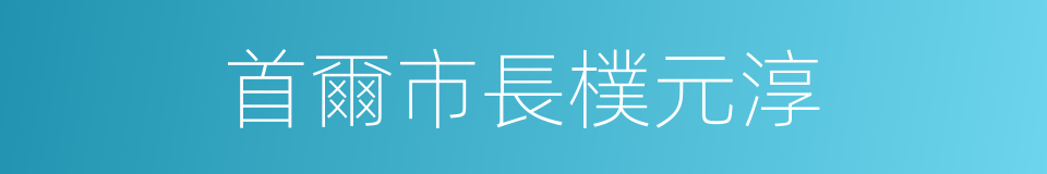 首爾市長樸元淳的同義詞