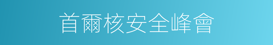 首爾核安全峰會的同義詞