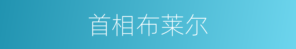 首相布莱尔的同义词