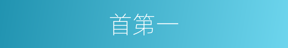 首第一的同义词