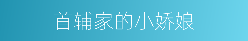 首辅家的小娇娘的同义词