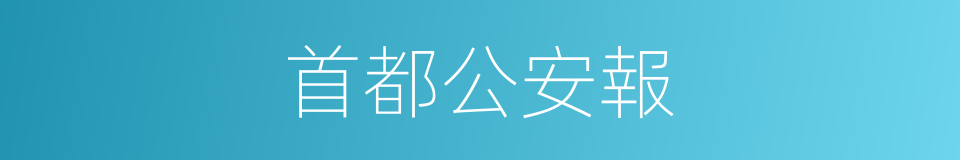 首都公安報的同義詞