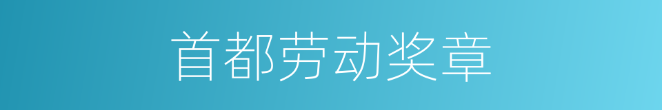 首都劳动奖章的同义词