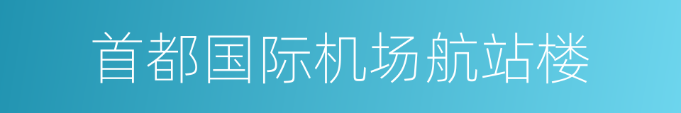 首都国际机场航站楼的意思