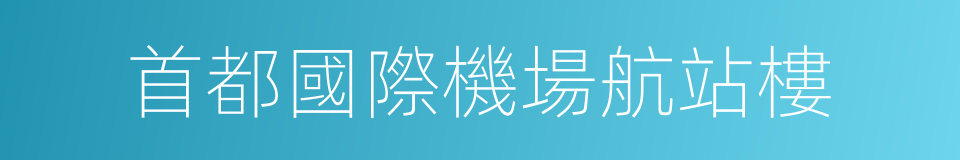 首都國際機場航站樓的同義詞