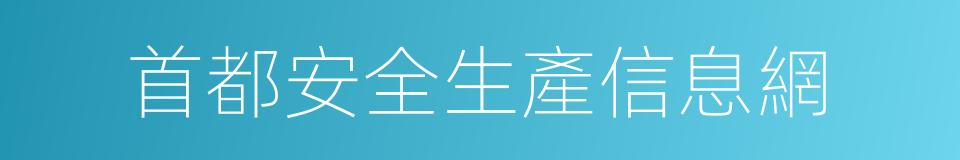 首都安全生產信息網的同義詞