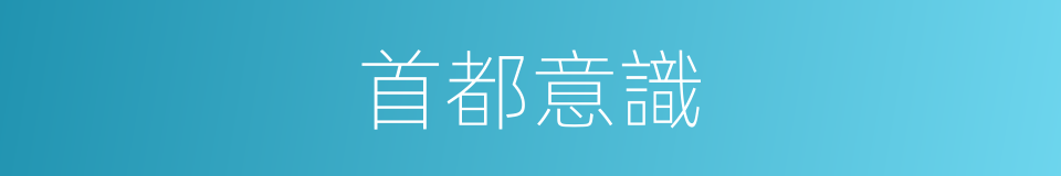 首都意識的同義詞