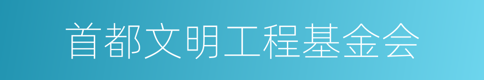 首都文明工程基金会的同义词