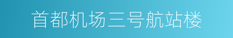 首都机场三号航站楼的同义词