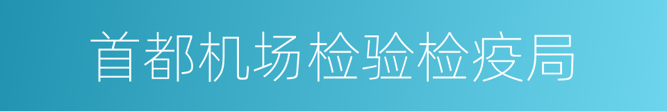 首都机场检验检疫局的同义词