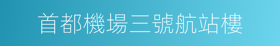 首都機場三號航站樓的同義詞