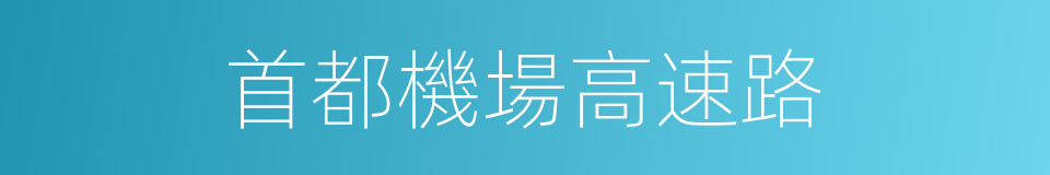 首都機場高速路的同義詞