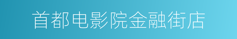 首都电影院金融街店的同义词