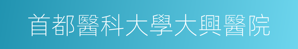 首都醫科大學大興醫院的同義詞