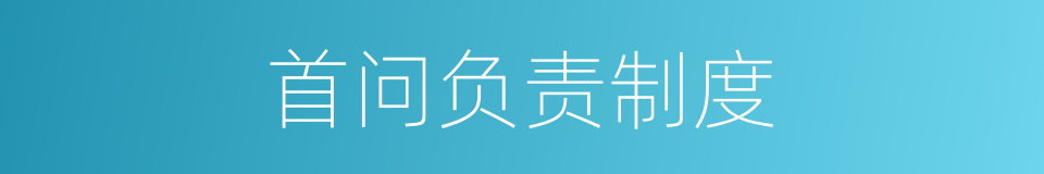 首问负责制度的同义词