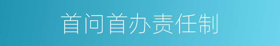 首问首办责任制的同义词