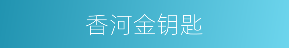 香河金钥匙的同义词
