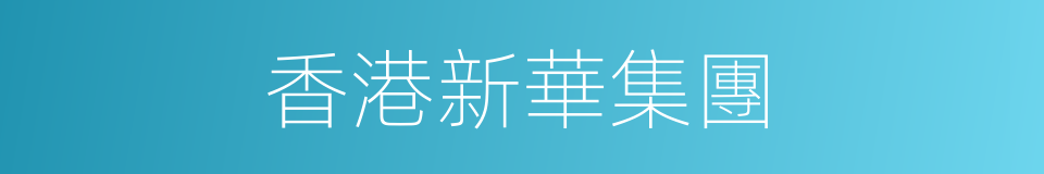 香港新華集團的同義詞