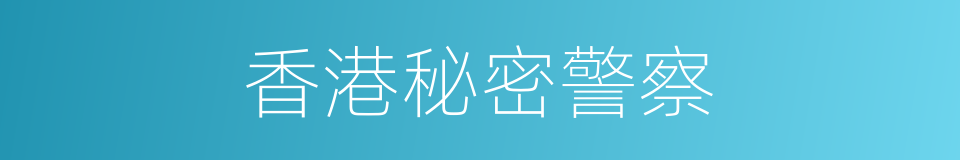 香港秘密警察的同义词