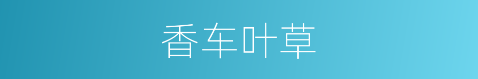 香车叶草的同义词