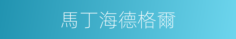 馬丁海德格爾的同義詞