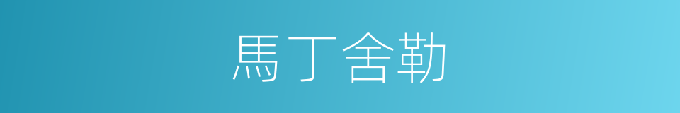 馬丁舍勒的同義詞