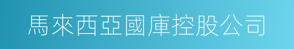 馬來西亞國庫控股公司的同義詞