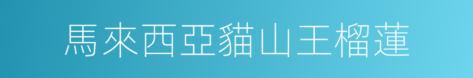 馬來西亞貓山王榴蓮的同義詞