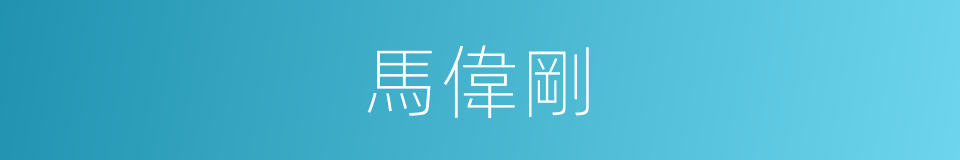 馬偉剛的同義詞