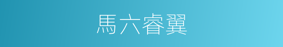 馬六睿翼的同義詞