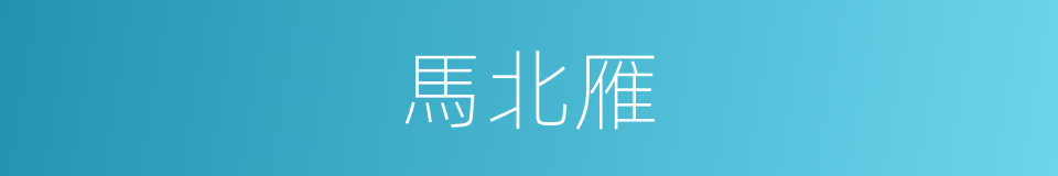 馬北雁的同義詞