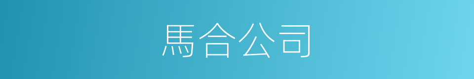 馬合公司的同義詞