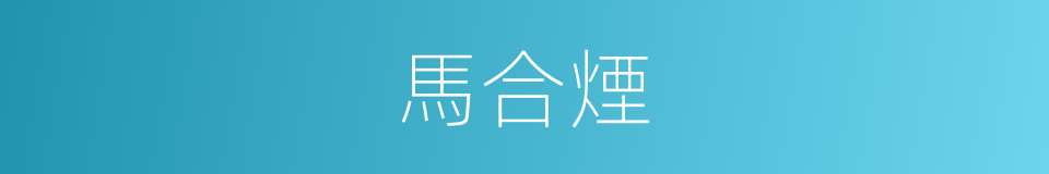 馬合煙的同義詞
