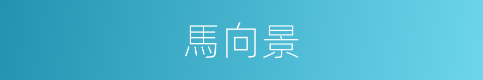 馬向景的同義詞