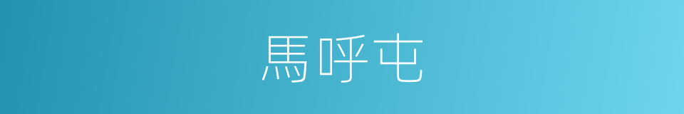 馬呼屯的同義詞