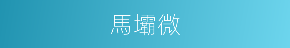 馬壩微的同義詞