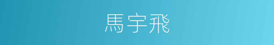 馬宇飛的同義詞