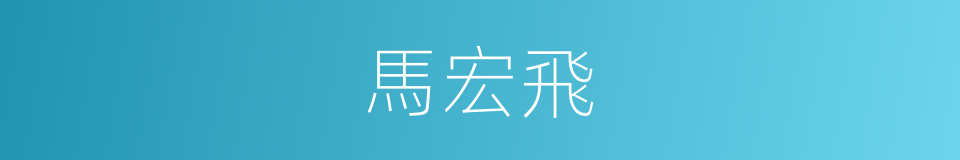 馬宏飛的同義詞