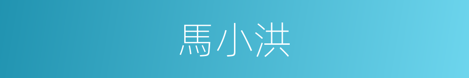 馬小洪的同義詞