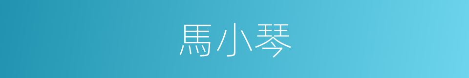 馬小琴的同義詞