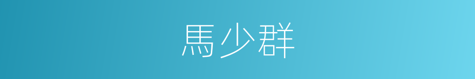 馬少群的同義詞